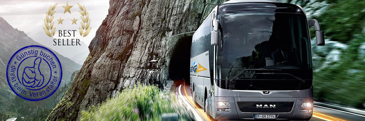 Berlin Busvermittlung